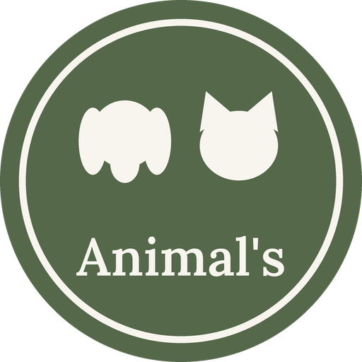 Animal's